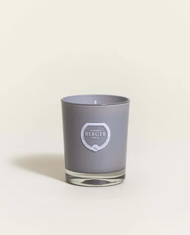 Maison Berger Citronella Candle