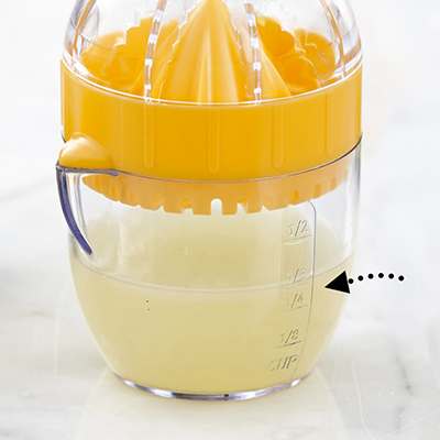 CITRUS JUICER