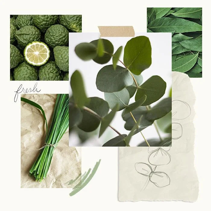 EUCALYPTUS HAND WASH