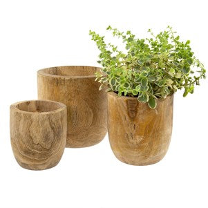 MEDIUM MANGO WOOD EGG POT