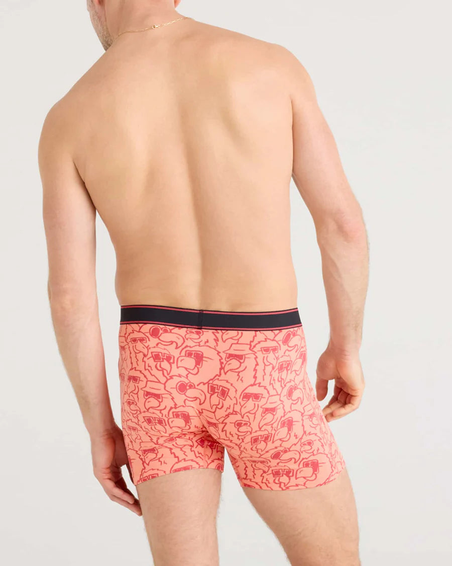 DAYTRIPPER COMFORT STRETCH BOXER BRIEF 5" "PARROT PARTY-FUSION CORAL"
