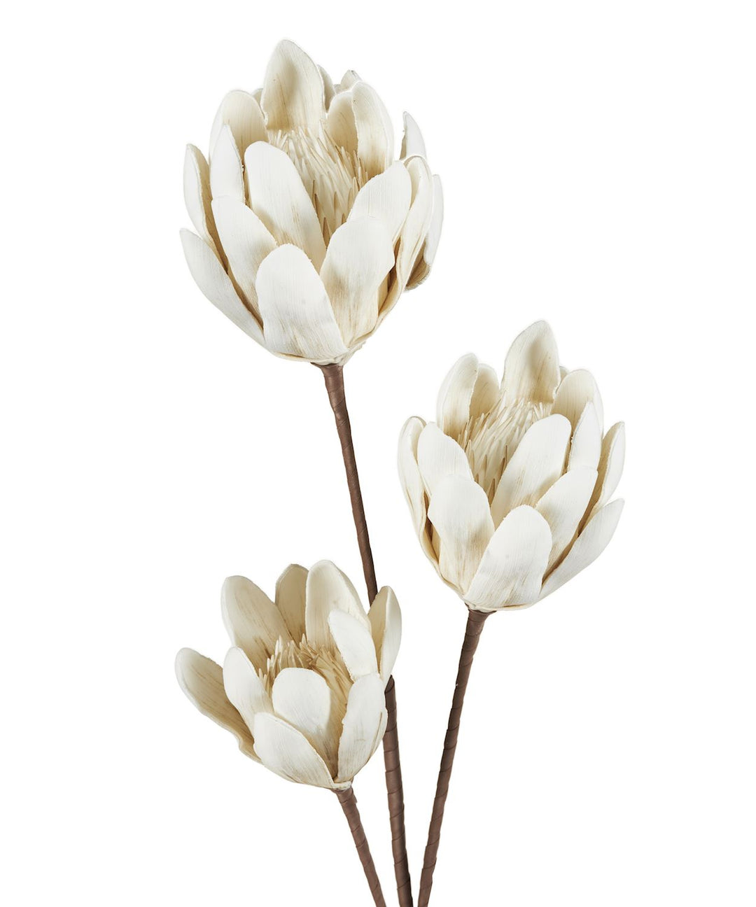EVA LIFE-LIKE PROTEA STEM
