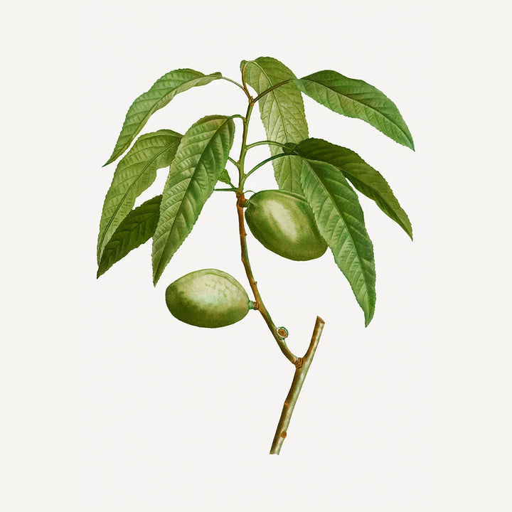 HAND CREAM "SOOTHING ALMOND" 30ML