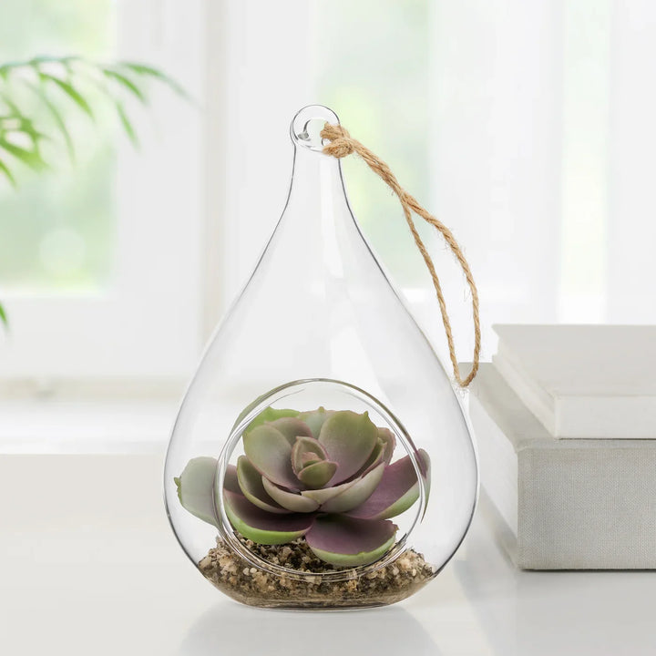 HANGING GLASS TEARDROP POTTED SUCCULENT/ECHEVERIA 5''H
