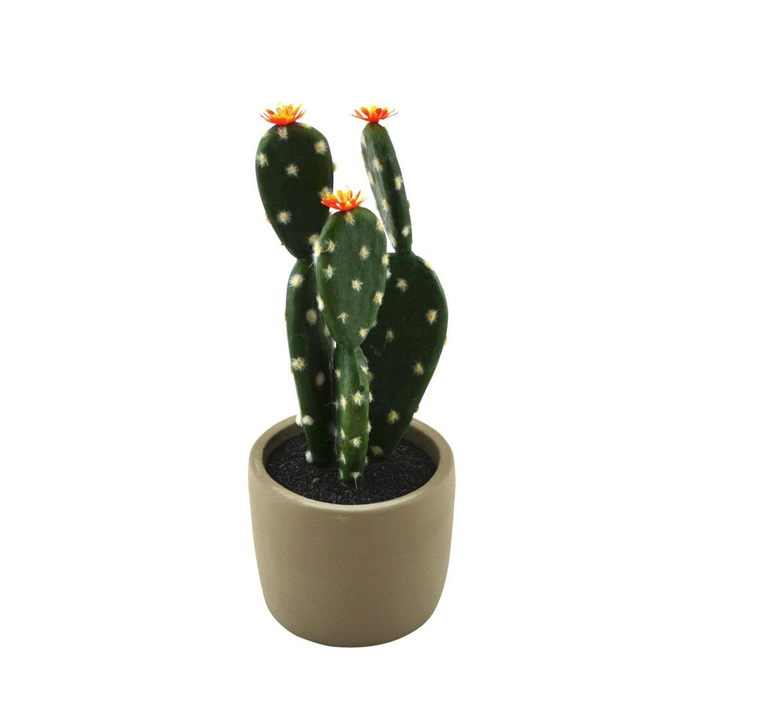 BLOOMING CACTUS 10X10X25CM
