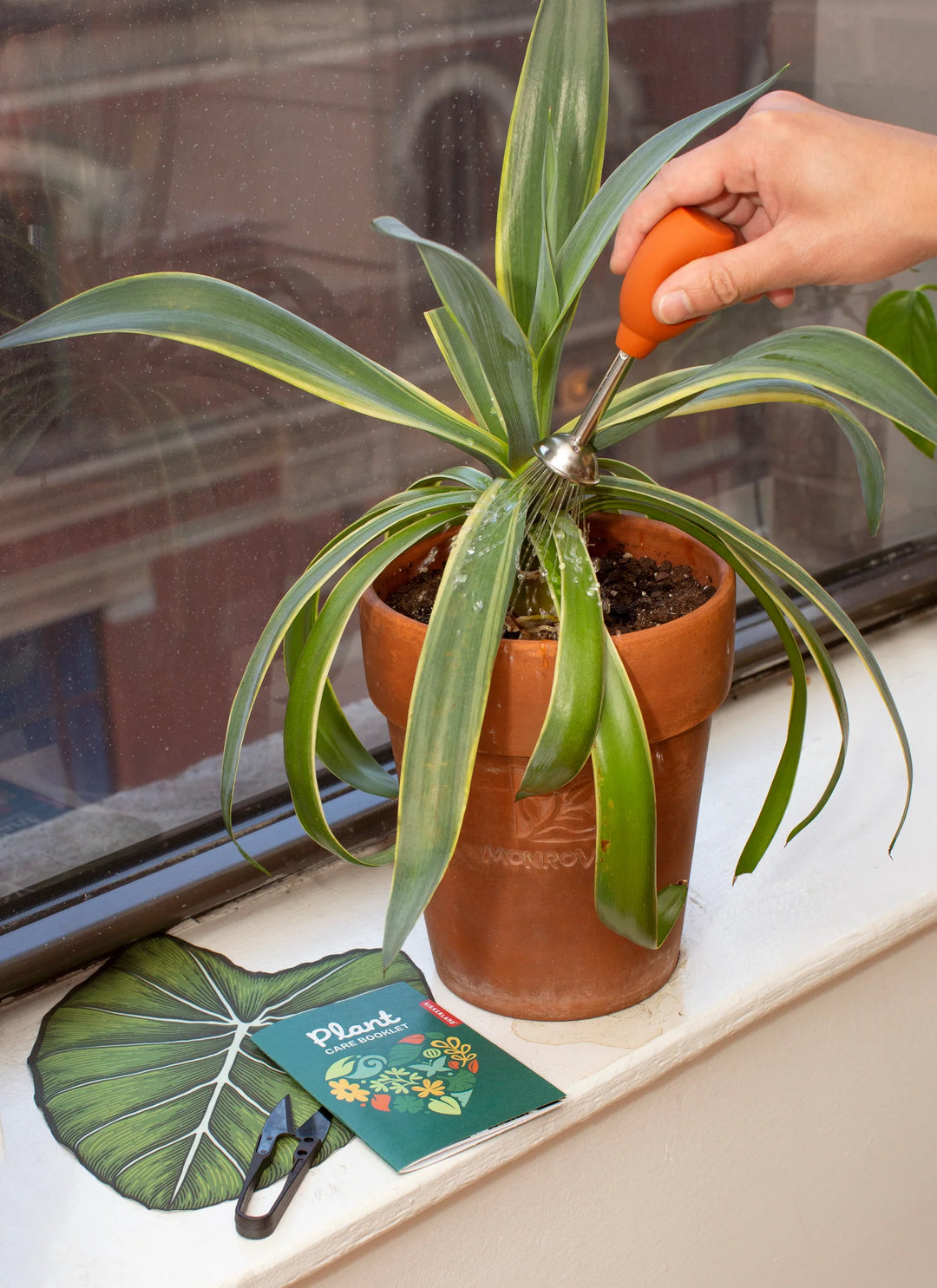 PLANT CARE KIT