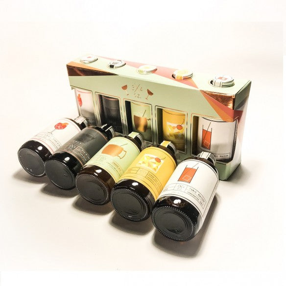 DELUXE COCKTAIL AND MOCKTAIL KIT