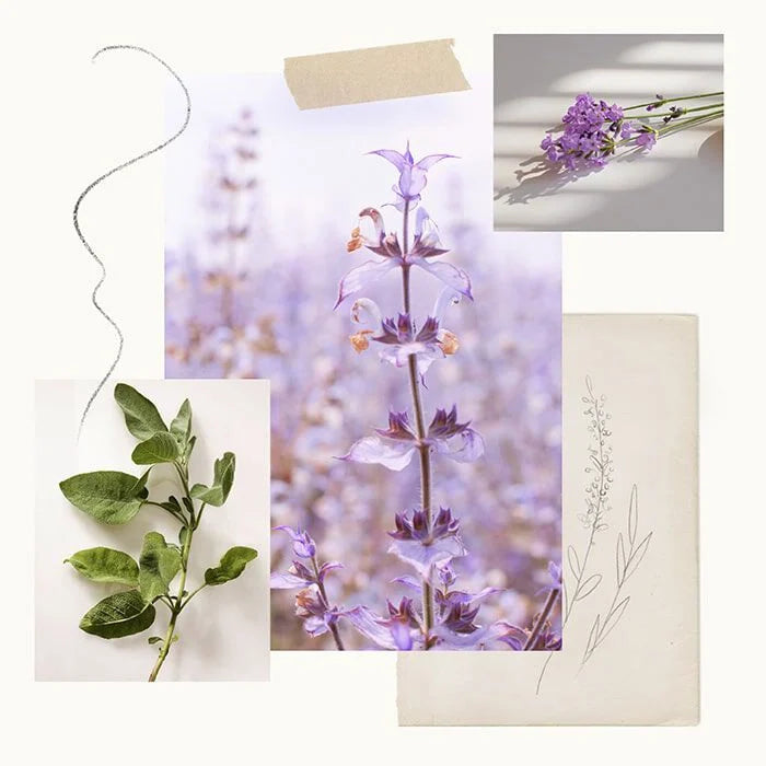 LAVENDER BAR SOAP