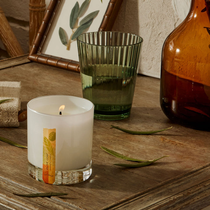 OLIVE LEAF POURED CANDLE