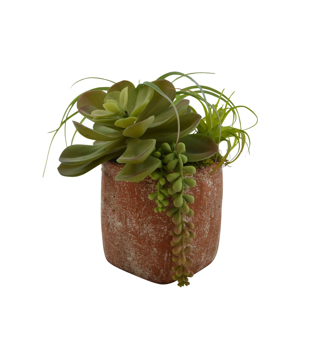 SQUARE VASE W/ SUCCULENTS