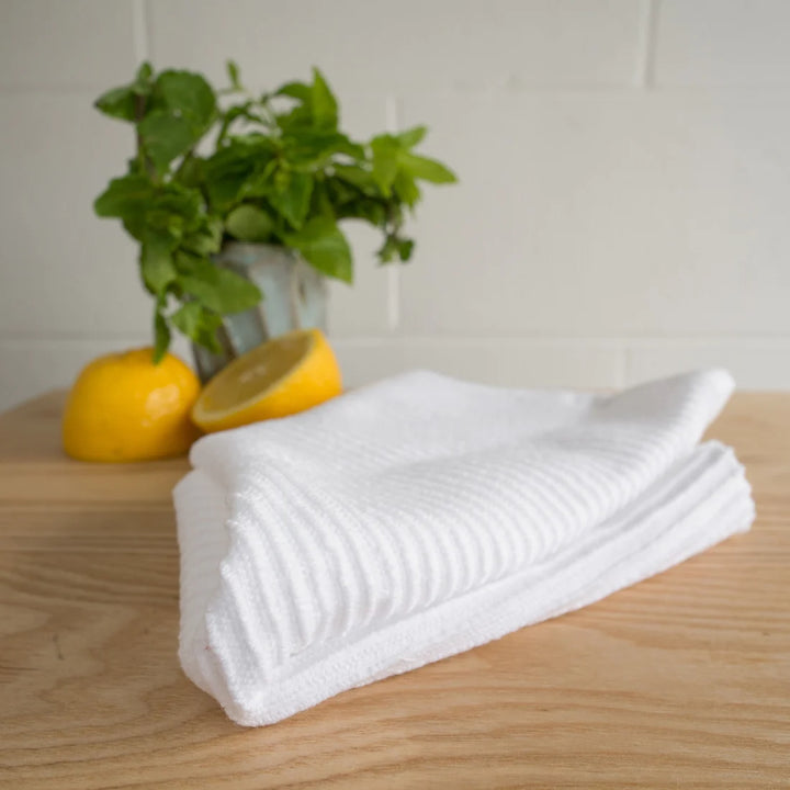 DANICA SET OF 2 RIPPLE DISHCLOTH WHITE