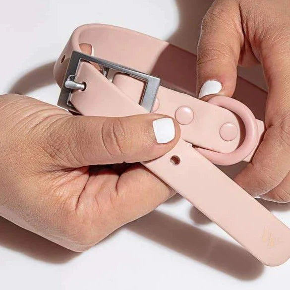 WILD ONE COLLAR MEDIUM - BLUSH