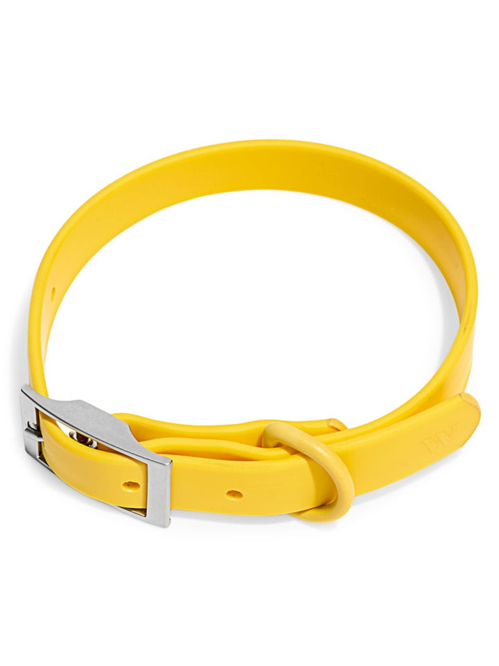 WILD ONE COLLAR LARGE - BUTTER
