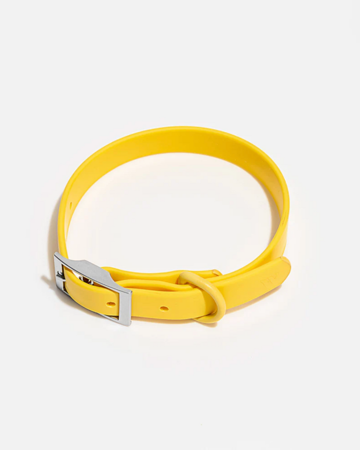 WILD ONE COLLAR MEDIUM - BUTTER
