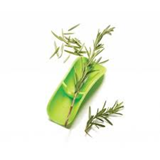 TRIPPER DE CHOU FRISÉ ET DE FINES HERBES