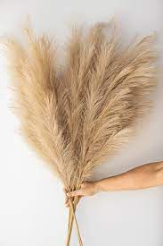 Artificial Pampas Grass Taupe Sand