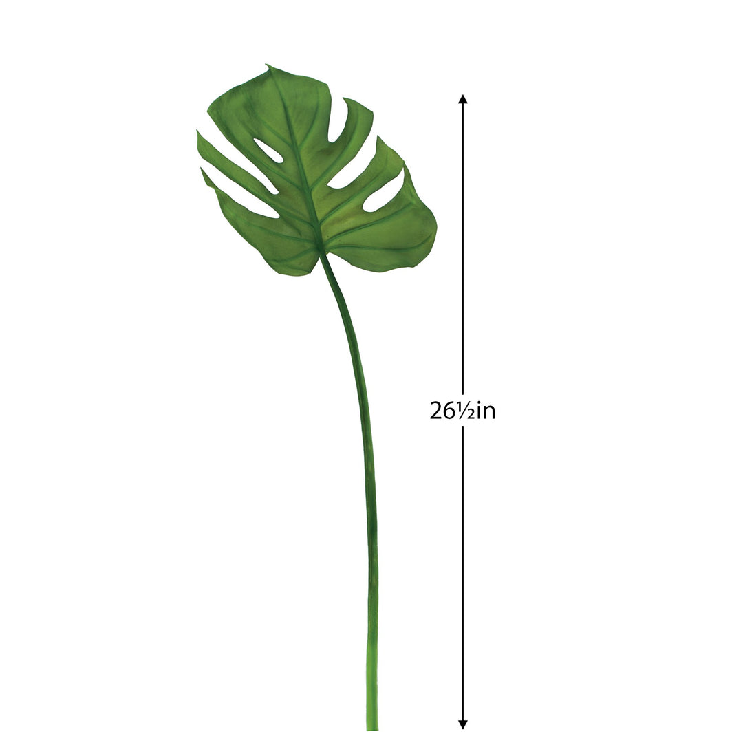 Monstera Leaf Stem