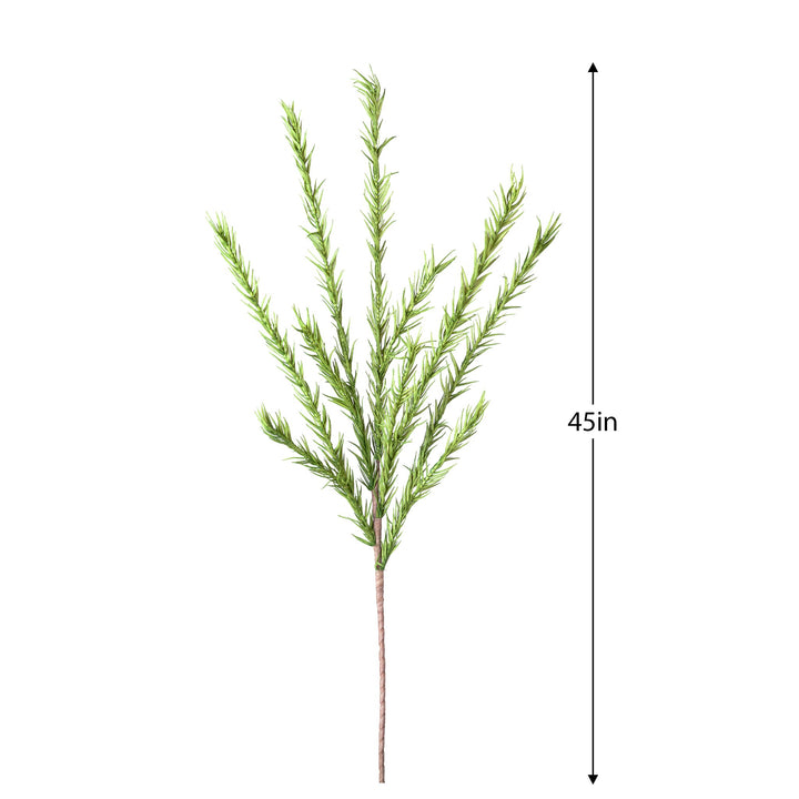 Desert Pine Stem