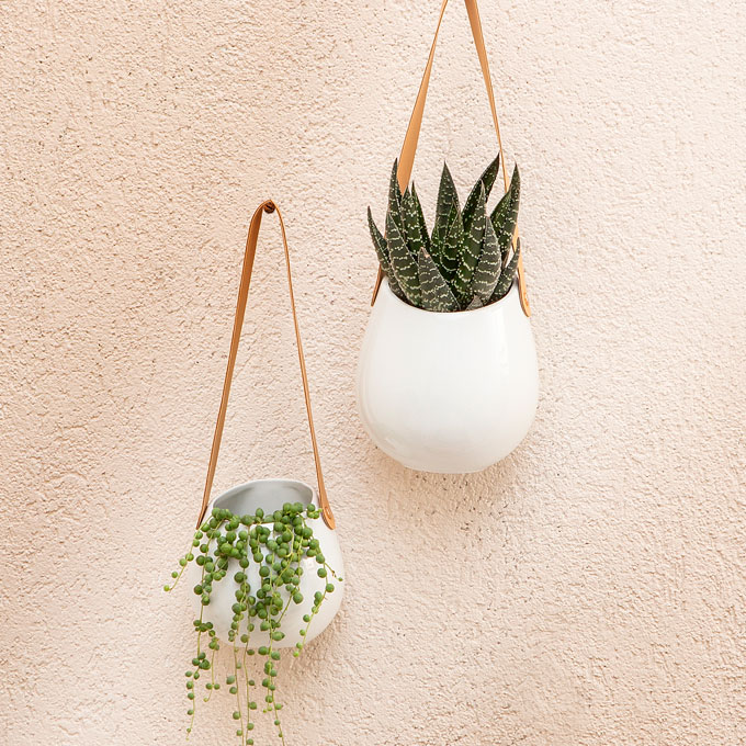 Muro Wall Planter 11cm