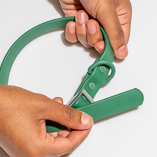 Wild One Petit Collier (Cou : 8-12", Largeur de la sangle : 3/4") - Epicéa