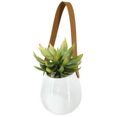 Muro Wall Planter 11cm
