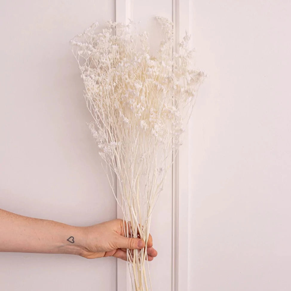 Preserved Solidago Goldenrod - White