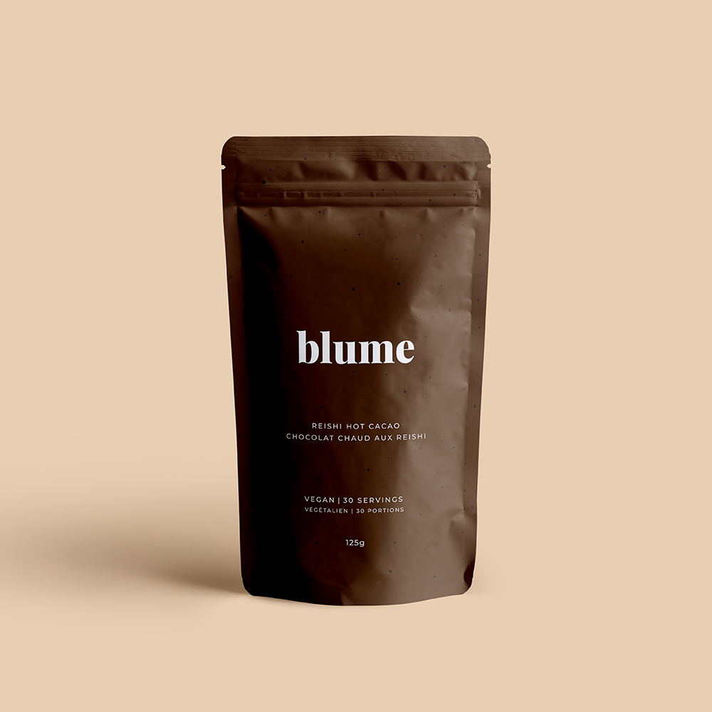 Blume Reishi Hot Cacao Cacao chaud adaptogène