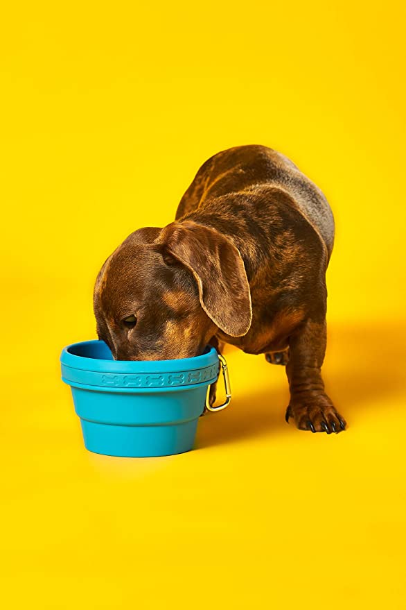 Bol à eau et à nourriture de voyage pliable en silicone durable Wild & Woofy