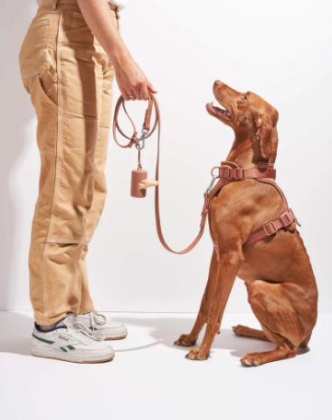 WILD ONE SMALL LEASH - COCOA
