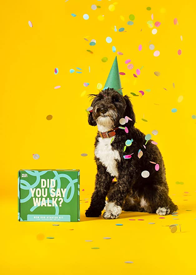 Set de démarrage pour nouveau chien Wild & Woofy