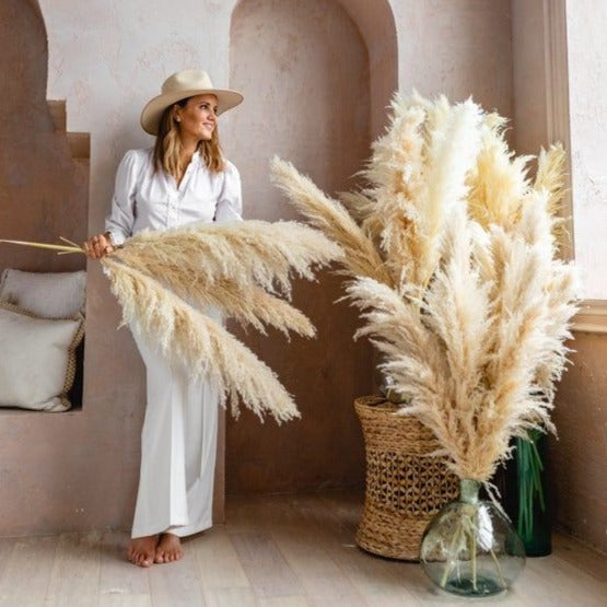 PAMPAS GRASS LARGE NATURAL TYPE 6