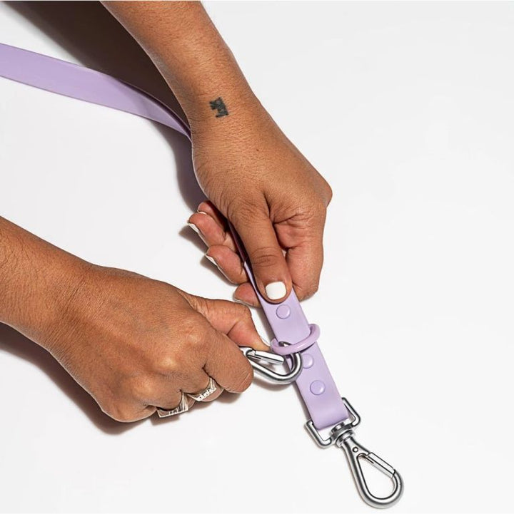 Wild One Standard Leash (Strap Width - 3/4", Weight - 0.5 Lbs) - Lilas