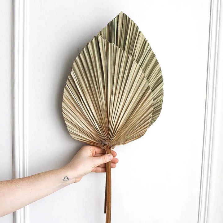 Palm Leaf