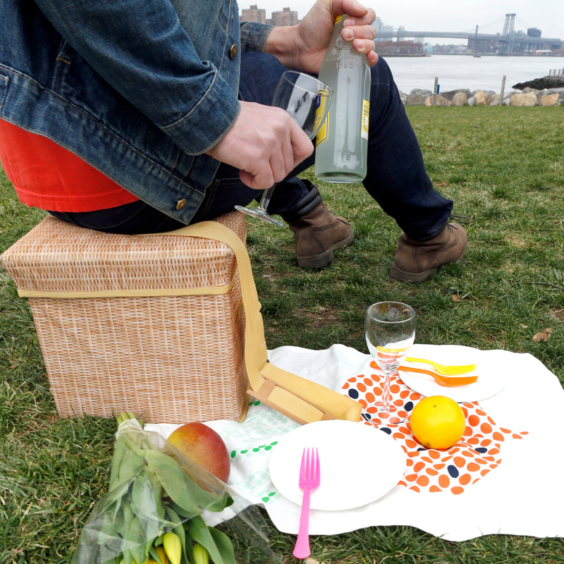 KIKKERLAND WICKER PICNIC COOLER SEAT