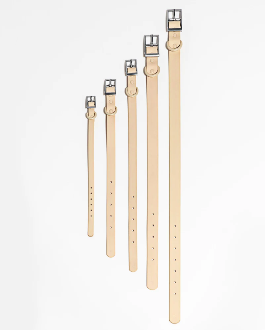 Wild One Collier Medium (Cou : 12-15", Largeur de la sangle : 3/4") - Epicéa