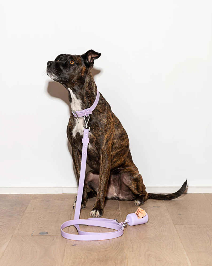 Wild One Standard Leash (Strap Width - 3/4", Weight - 0.5 Lbs) - Lilas