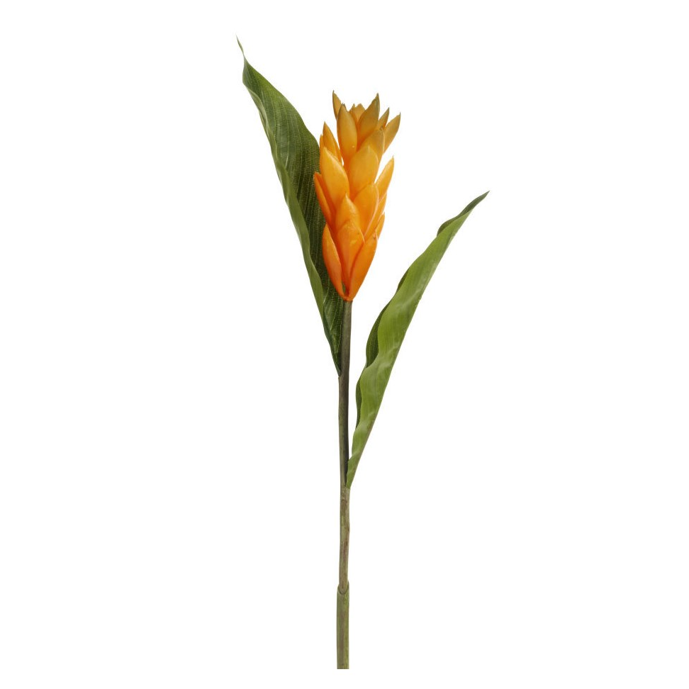 SPRAY GINGER LILY ORANGE