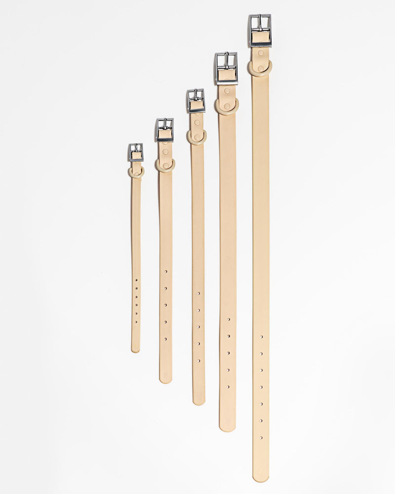 WILD ONE COLLAR MEDIUM - BUTTER