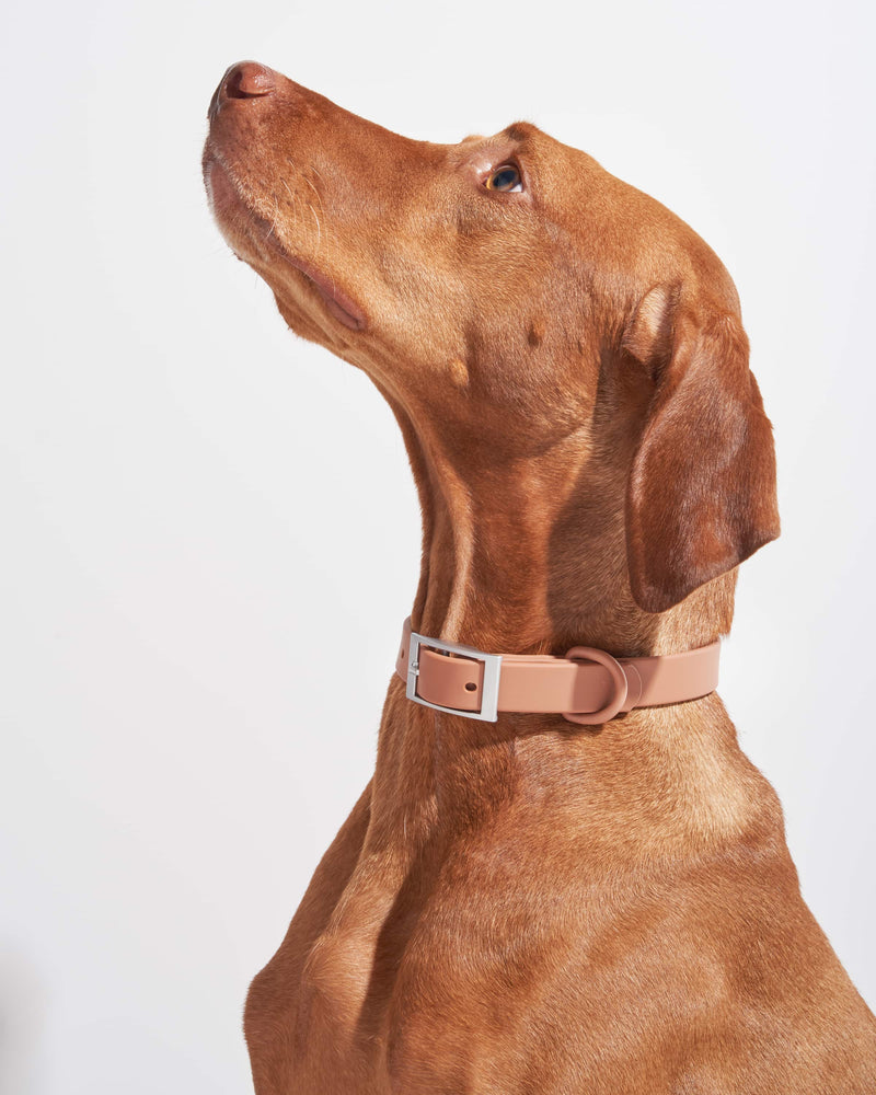 Collier WILD ONE EXTRA SMALL - COCOA