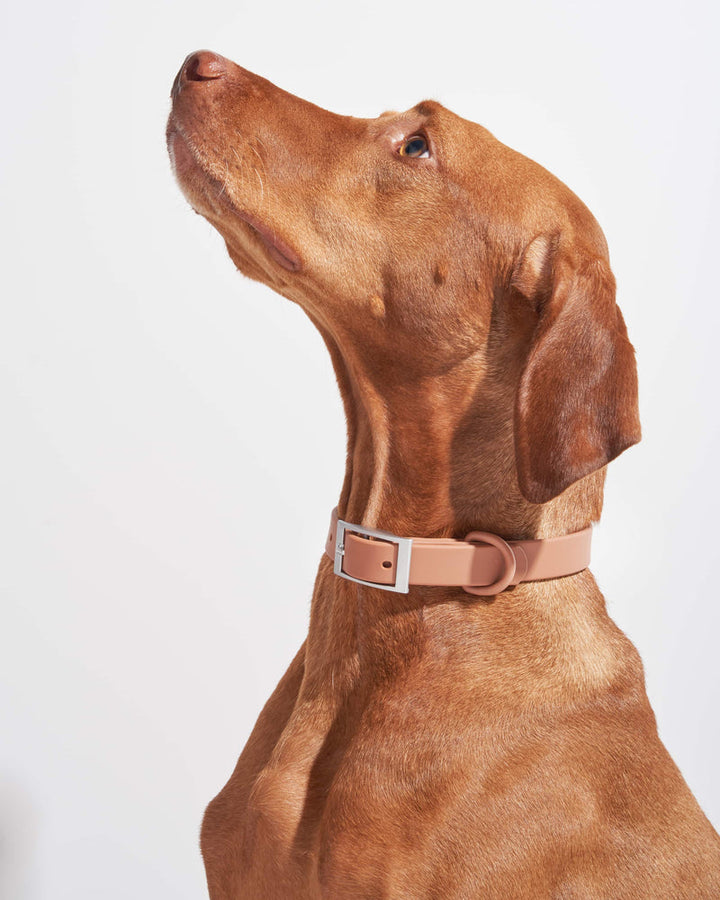 Collier WILD ONE EXTRA SMALL - COCOA