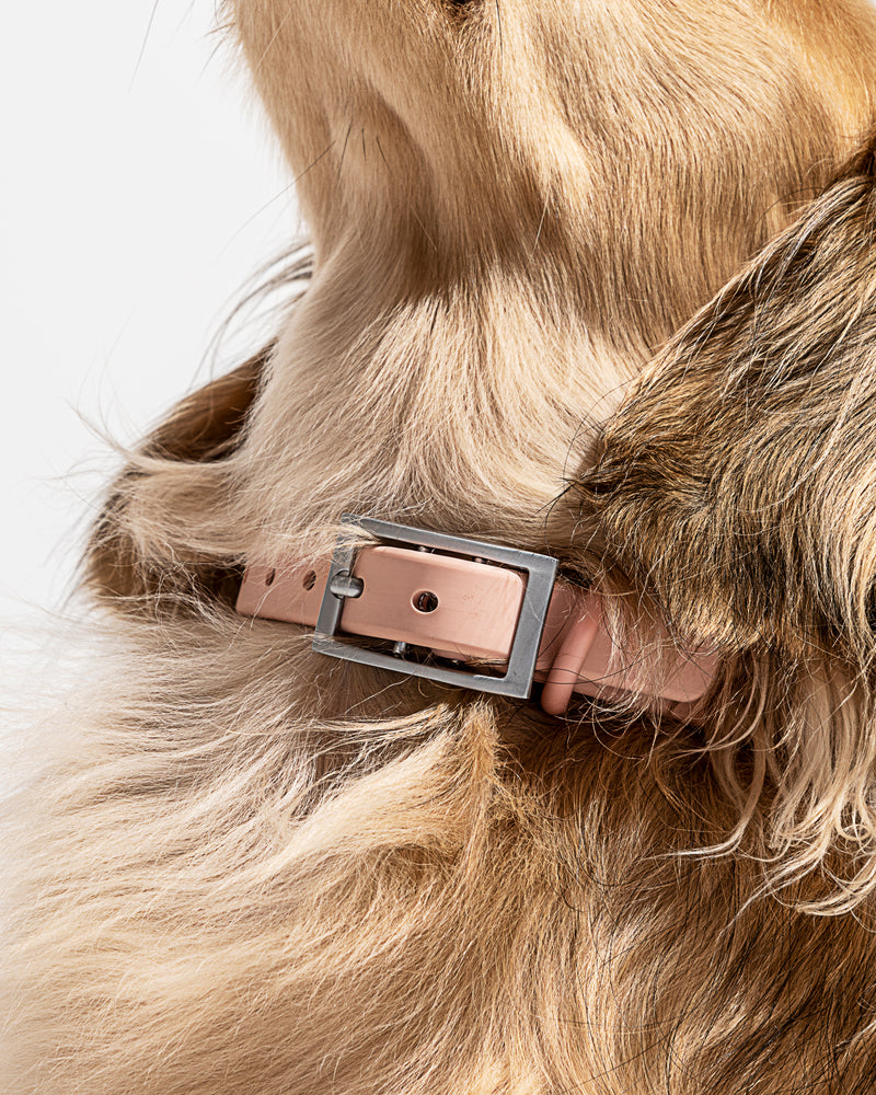 WILD ONE SMALL COLLAR (NECK : 8-12", STRAP WIDTH : 3/4") - BLUSH