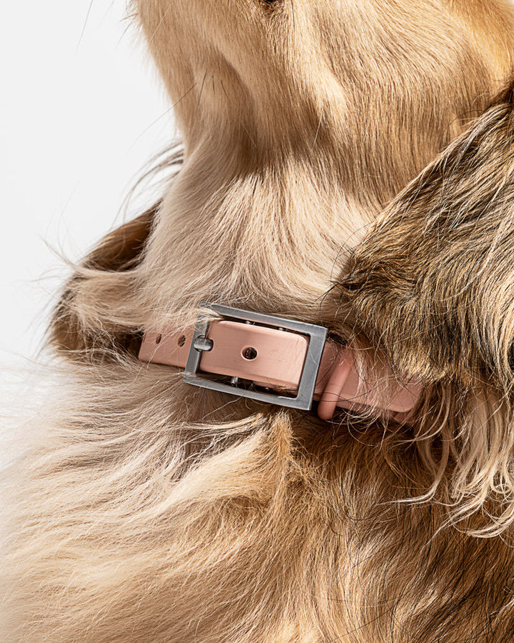 WILD ONE SMALL COLLAR (NECK : 8-12", STRAP WIDTH : 3/4") - BLUSH