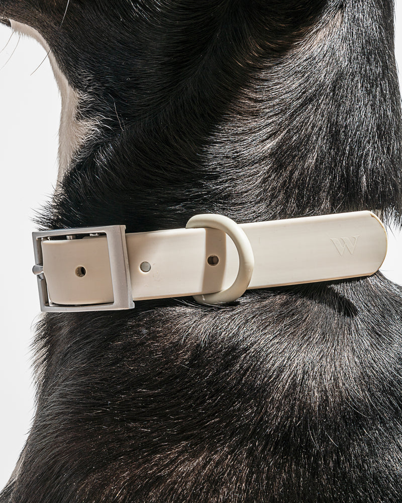 WILD ONE EXTRA SMALL COLLAR  - GRAY