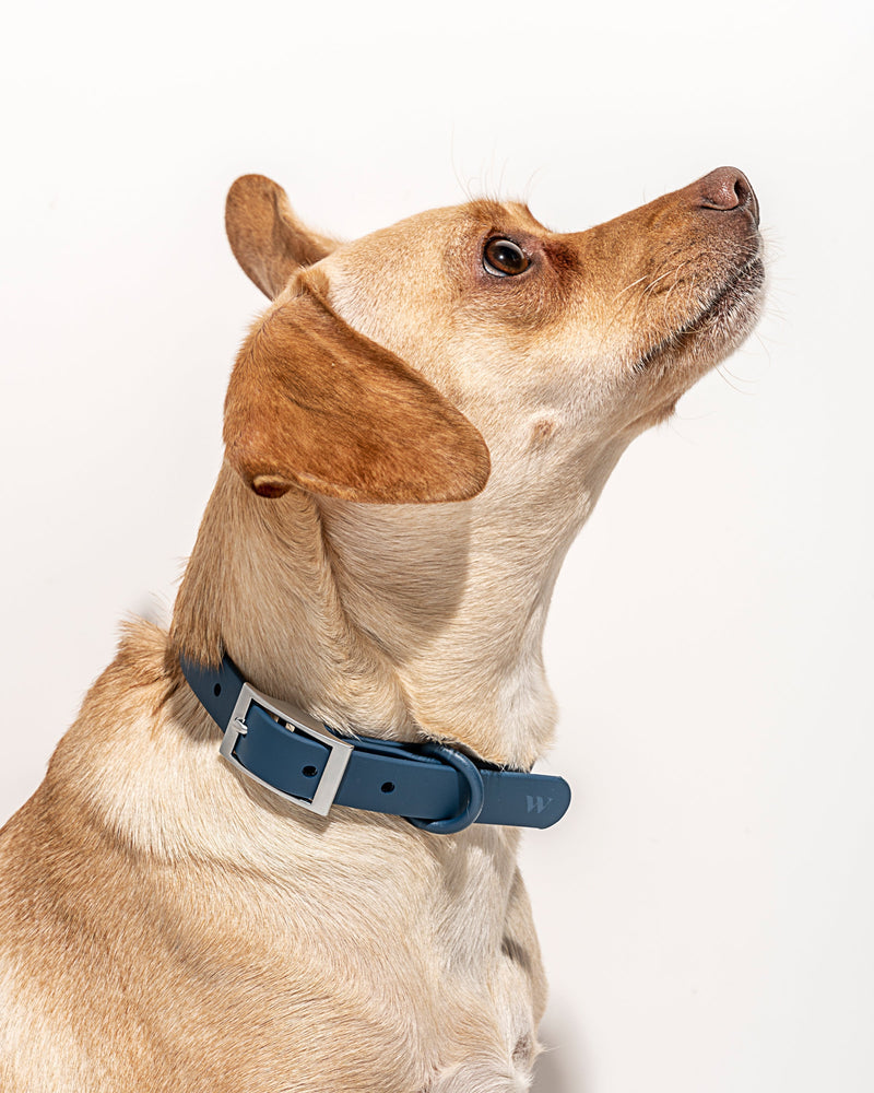 Collier WILD ONE - NAVY