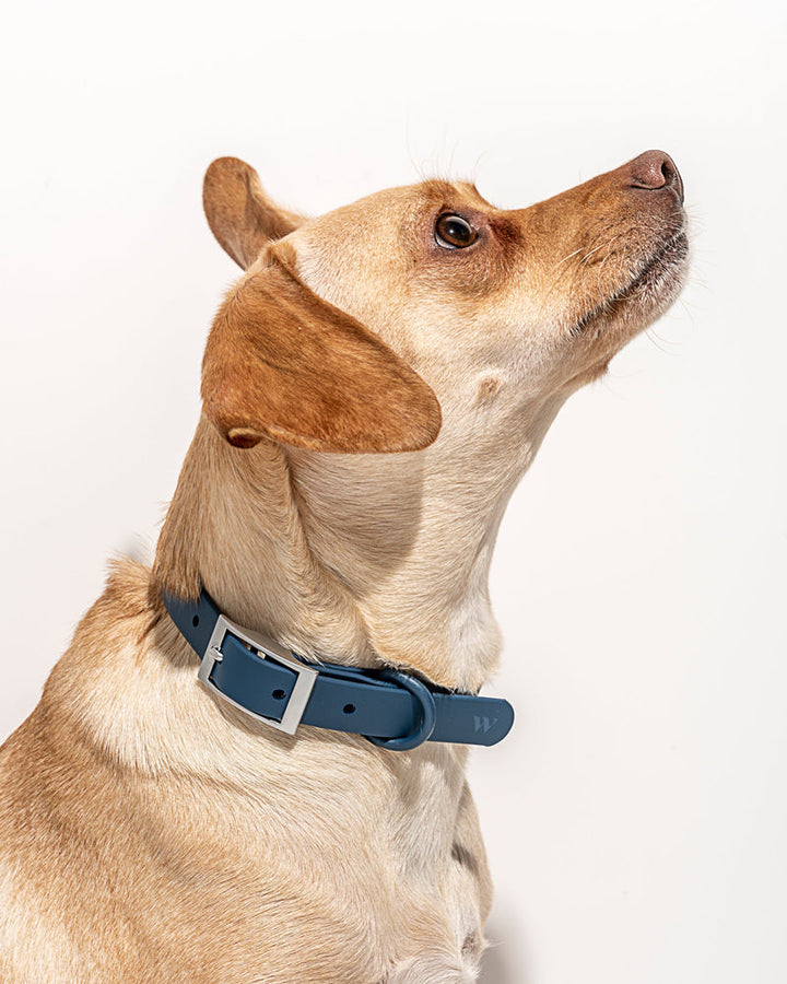 Collier WILD ONE - NAVY