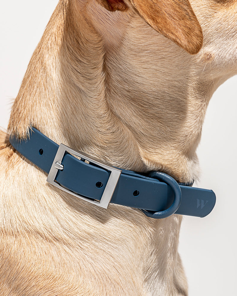 Collier WILD ONE - NAVY
