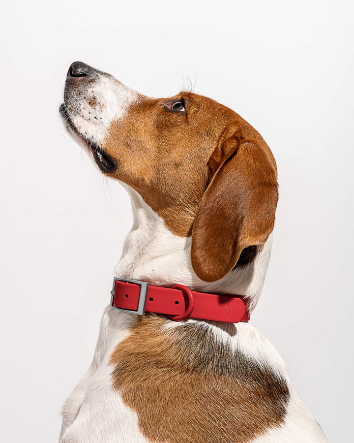 Collier WILD ONE SMALL - STRAWBERRY (fraise)