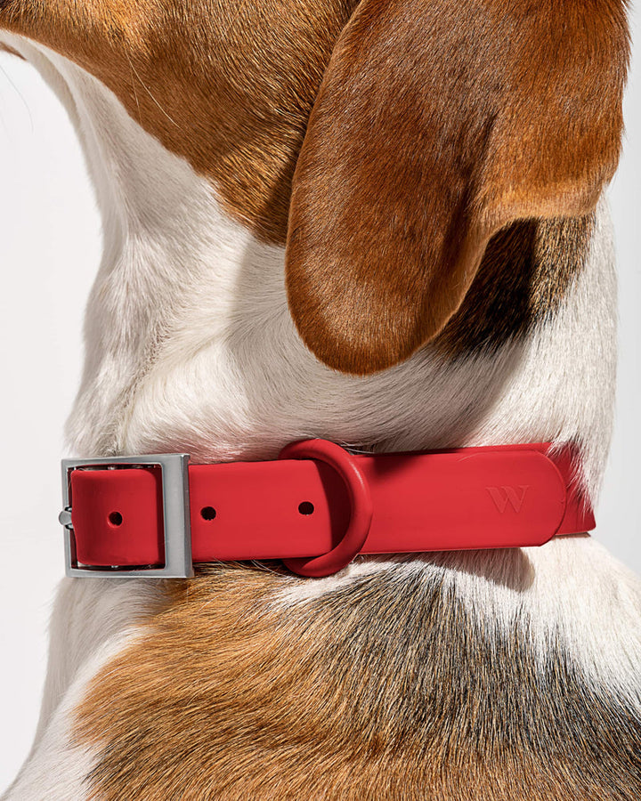 Collier WILD ONE SMALL - STRAWBERRY (fraise)