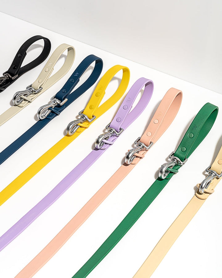 WILD ONE SMALL LEASH - LILAC