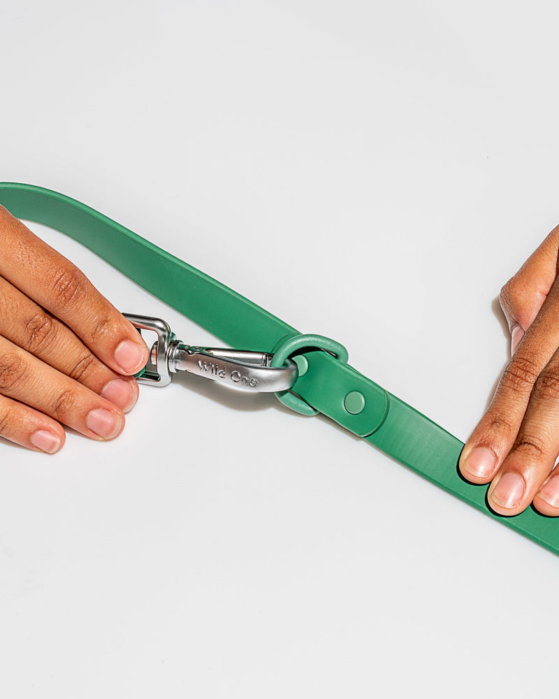 WILD ONE STANDARD LEASH - SPRUCE
